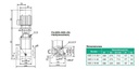 Motobomba Multietapas V 5Hp 220-440V 3F 1.25X1" Barnes Vse 2 18-50