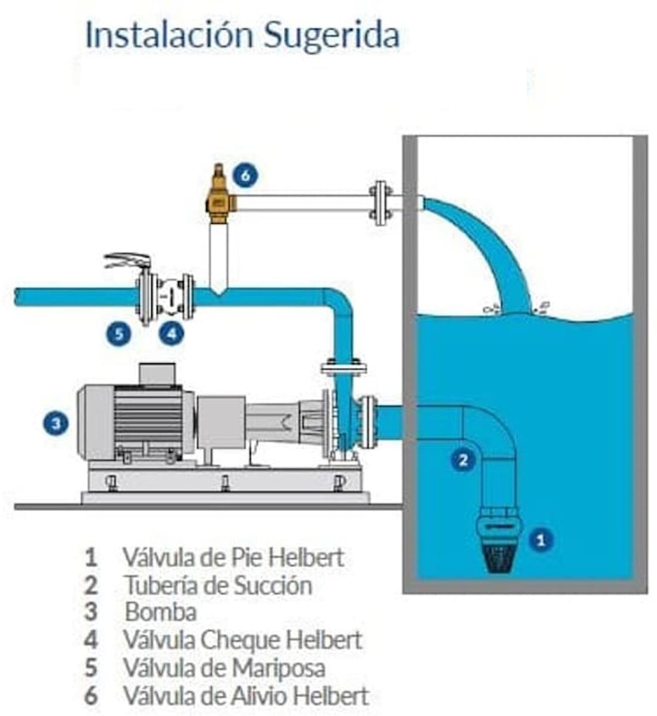 Valvula de Pie 1" Laton Helbert Havl025