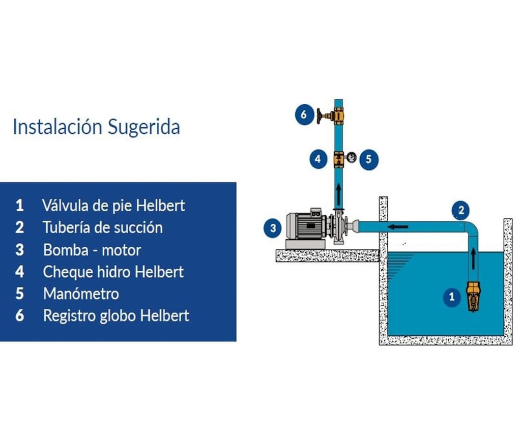 Registro Globo 1/2" Bronce Helbert Hhrt012