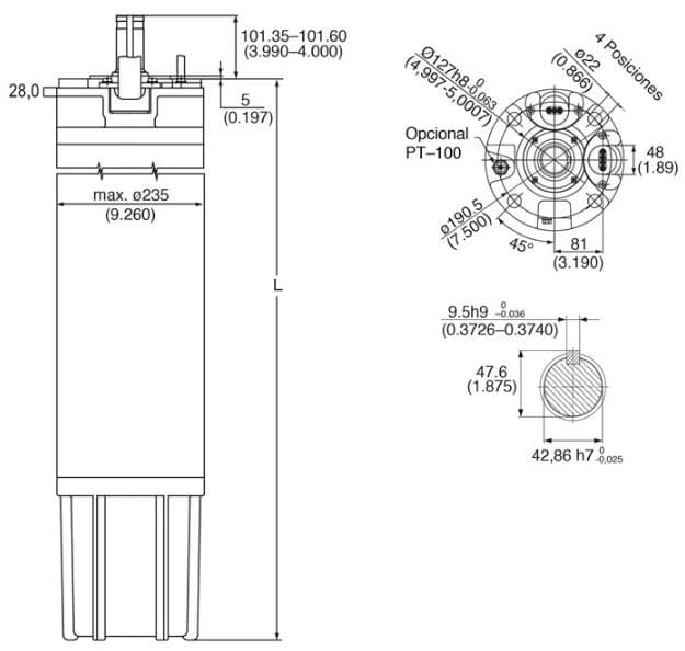 2642345321 / Motor Franklin Lapicero 10" 175HP 460V  3F Y-DELTA