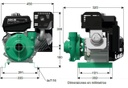 Motobomba Centrifuga 14Hp Gasolina 2X1.5" Barnes Gg 1.5B 140 Kl