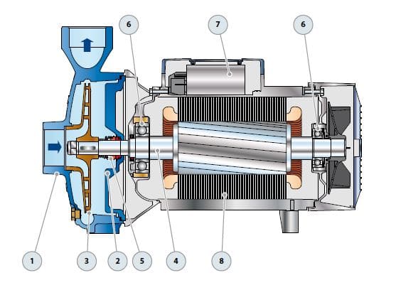 Motobomba Centrifuga 7.5Hp 220-440V 3F 2X2" Pedrollo Cp700C-IE3