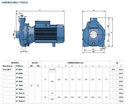 Motobomba Centrifuga 20Hp 220-440V 3F 2X2" Pedrollo Cp750B