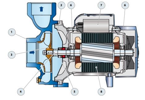 Motobomba Centrifuga 1Hp 110-220V 1F 2X2" Pedrollo Hfm5B