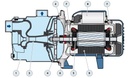 Motobomba Autocebante Jet 0.7Hp 110V 1F 1X1" Pedrollo Jcrm1B-N