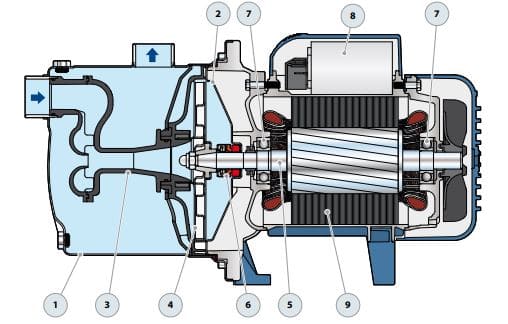 Motobomba Autocebante Jet 1.5Hp 110-220V 1F 1X1" Pedrollo Jcrm2A
