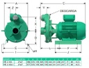 Motobomba Centrifuga 10Hp 230V 1F 2X2" Barnes He 2 100-1