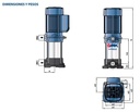Motobomba Multietapas V 1.5Hp 220-440V 3F 1.25X1" Pedrollo Mk5/5-N