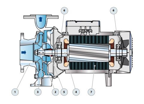 Motobomba Centrifuga 7.5Hp 220-440V 3F 3X2.5" Pedrollo F65/125B I