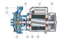 Motobomba Centrifuga 10Hp 220-440V 3F 2X1.5" Pedrollo 2Cp40/180A