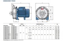 Motobomba Centrifuga 1Hp 220V 1F 1.25X1" Pedrollo Al-redm620-4