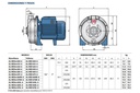 Motobomba Centrifuga 3Hp 220-440V 3F 1.25X1" Pedrollo Al-red670M-6