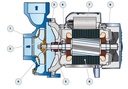 Motobomba Centrifuga 2Hp 110-220V 1F 1.5X1.5" Pedrollo Hfm70B