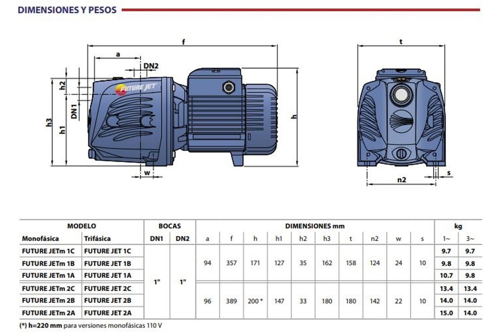 Motobomba Jet 0.65Hp 110V 1F 1X1" Pedrollo  Future-jetm1Bx