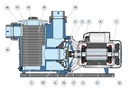 Motobomba Piscina 3Hp 220-440V 3F 2X2" Pedrollo Magnifica 5