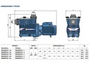 Motobomba Piscina 3Hp 220-440V 3F 2X2" Pedrollo Magnifica 5