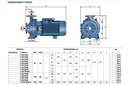 Motobomba Centrifuga 20Hp 220-440V 3F 3X2.5" Pedrollo F65/160A