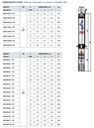Motobomba Lapicero 3Hp 220V 1F 2" Pedrollo 4Sr75G/30Mp