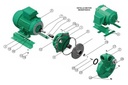 Motobomba Centrifuga 5Hp 220V 1F 2X2" Barnes He 2 50-1 Weg