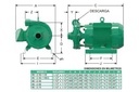 Motobomba Centrifuga 5Hp 220V 1F 1.5X1.5" Barnes He 1.5 50-1 Weg