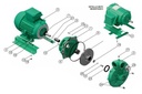 Motobomba Centrifuga 5Hp 220V 1F 2X2" Barnes Qe 2 50-1 Weg