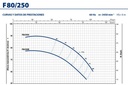 Motobomba Centrifuga 75Hp 220-440V 3F 4X3" Pedrollo F80/250A