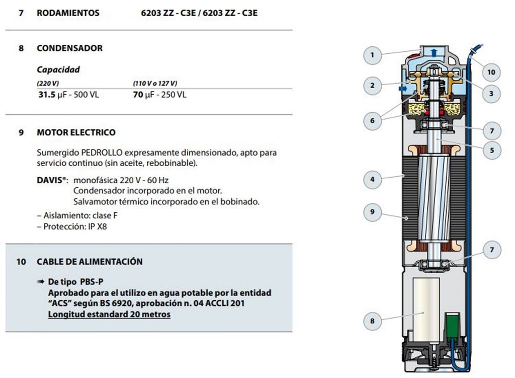 Motobomba Lapicero 1Hp 220V 1F 1" Pedrollo Davis