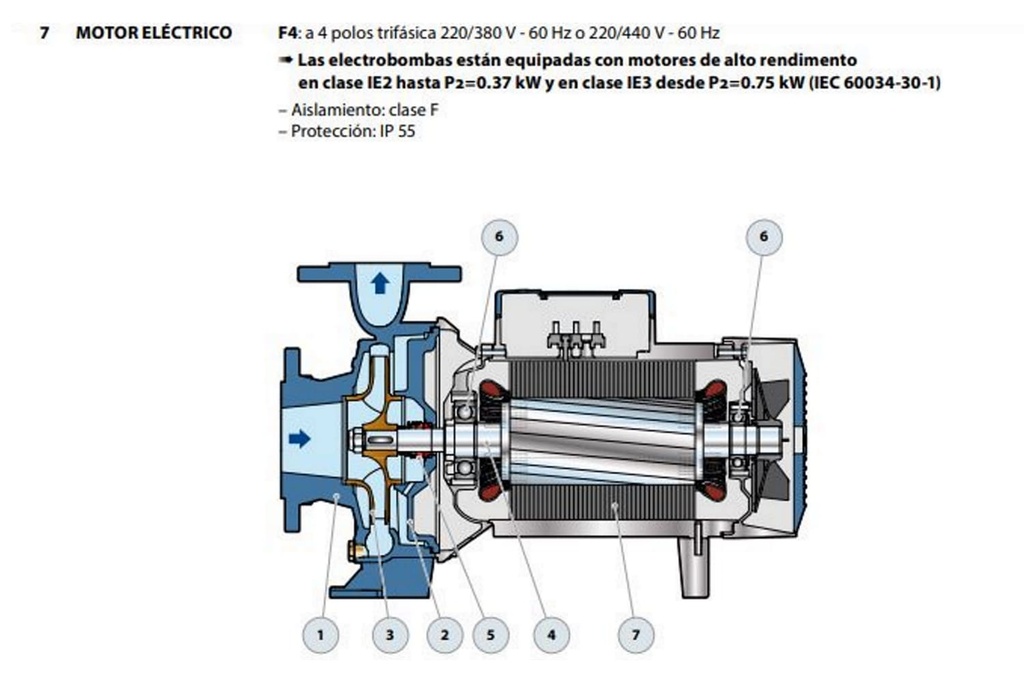 Motobomba Centrifuga 1Hp 220-440V 3F 3X2.5" Pedrollo F4-65/125B