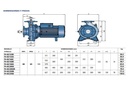 Motobomba Centrifuga 3Hp 220-440V 3F 3X2.5" Pedrollo F4-65/160A