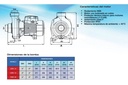 Motobomba Centrífuga 1Hp 110-220V 1F 2X2" Pearl Cqpl10F16S