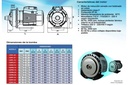 Motobomba Centrifuga 2Hp 220V 1F 1.5X1.25" Pearl Cspm20C16S