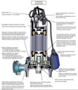 Motobomba Sumergible 2Hp 220V 1F 1.5" Calpeda Gqgm625