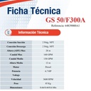 Motobomba Autocebante 6.7Hp Diesel 2x2" Ihm Gs 50/F300A