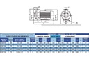 Motobomba Centrifuga 7.5Hp 220-440V 3F 1.5X1.25" Ihm Eurolinea 3X18-7.5Tw-IE3
