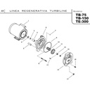 Motobomba Turbina 3Hp 220-440V 3F 1.25X1" Ihm Turbiline Te-300Tw-IE3