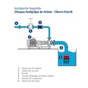 Valvula Cheque Antigolpe de Ariete 10" Hierro Ductil Helbert Hjcd250