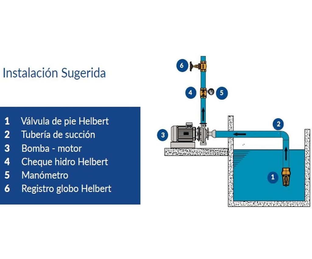 Valvula Cheque Hidro 3" Helbert Hfvc075