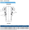 Motobomba Multietapas V 15Hp 230-460V 3F 2X2” Franklin 20Vr0600Nf2A-Wk6E3