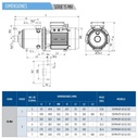 Motobomba Multietapas H 1.5Hp 220-440V 3F 1.25X1” Franklin 15Fmh4p-63 E2 IE3