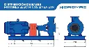 Captura.webp