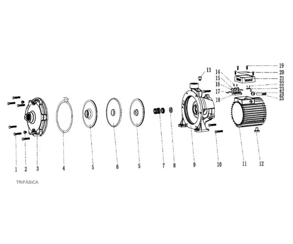 E2568 Descripcion 7 (1).webp
