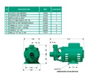 Motobomba Centrifuga 0.25hp 110 220V 1F 1x1" Barnes CE 1/2-1