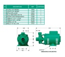 Motobomba Centrifuga 1.5Hp 110-220V 1F 1.5X1.5" Barnes Ee 1.5 15-1