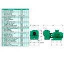 Motobomba Autocebante 5Hp 220-440V 3F 3X3" Barnes Ae 3 50