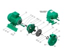 Motobomba Centrifuga 5Hp 220V 1F 2X2" Barnes Qe 2 50-1 Ce