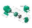 Motobomba Centrifuga 7.5Hp 220-440V 3F 3X3" Barnes Qe 3 75