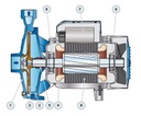 Motobomba Centrifuga 4Hp 220-440V 3F 1.5X1" Pedrollo Cp210B