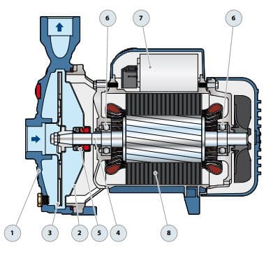 Motobomba Centrifuga 0.5Hp 110V 1F 1X1" Pedrollo Cpm600