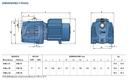 Motobomba Jet 1.5Hp 110-220V 1F 1X1" Pedrollo Jswm2Ax-110-220