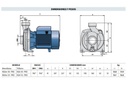 Motobomba Centrifuga 1Hp 220-440V 3F 1.5X1.5" Pedrollo Nga1A Pro-3